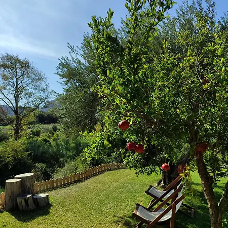 Kykeon Apartament