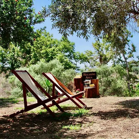 Apartament Kykeon