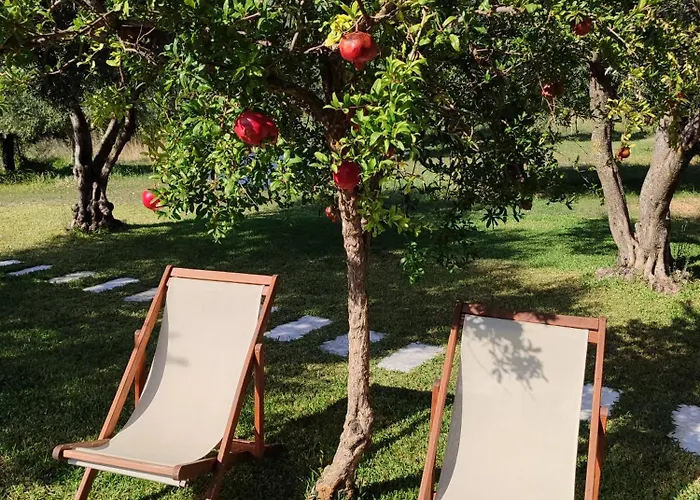 Kykeon Studios Katelios